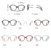 Оправа комбинированная, пластик TR-90 + металл, с защитой от синего света, с флексом FOCUS FCS2213