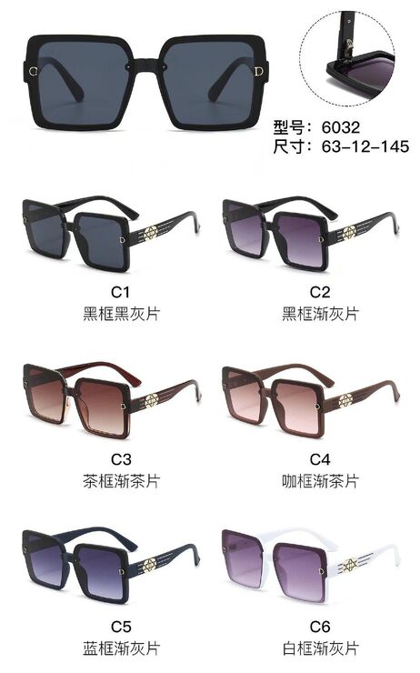 PC plastic sunglasses with metal hinge 6032W