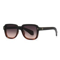 Plastic sunglasses with anti-blue light protection Elit 6038-EL