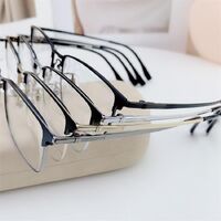 Titanium frame SANTA T9104