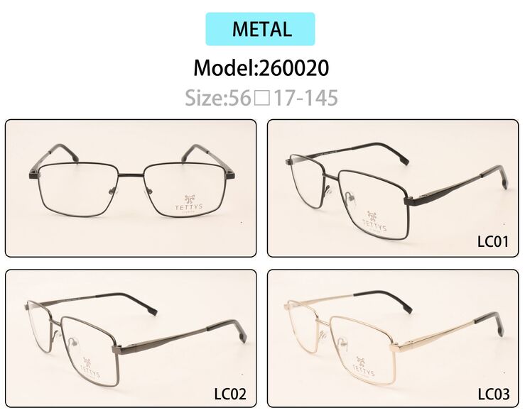 Metal eyeglasses frame for men with spring hinges 260020 (item in stock)
