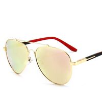 Polarized metal sunglasses with UV400 protection 2923-GT