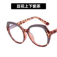 Plastic TR90 glasses with blue light protection for women TR5013-PN