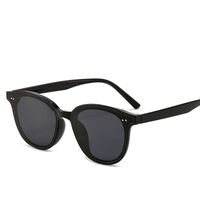 Plastic sunglasses with UV400 protection 5515-GT