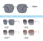 Titanium rimless frame polarized sunglasses TS5012