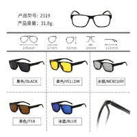 Оправа El Dorado с комплектом поляризационных солнцезащитных насадок (клипон) на магните 2319 (5 штук)