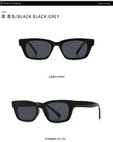 Sunglasses Elit modern 902