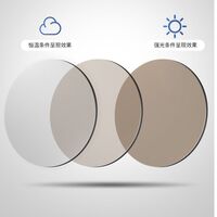 Photochromic glasses with blue light and UV protection 9704-GT