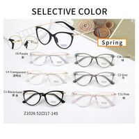 Оправа комбинированная с линзами Blue Ray Cut и флексом MAMO Z1026