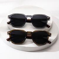 Plastic polarized sunglasses Elit ZT-10055-EL