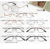 Titanium + plastic TR90 extralight frame MAMO T23812