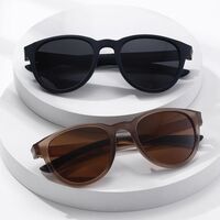 Пластиковые поляризационные мужские солнцезащитные очки в круглой оправе Elit 23G17-EL