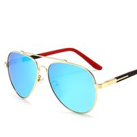 Polarized metal sunglasses with UV400 protection 2923-GT