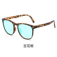 Blue Block plastic glasses with blue light protection for colorblind people, folding, with case KY6105-5色盲