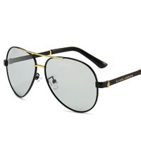 Photochromic glasses with blue light and UV protection 2874-GT