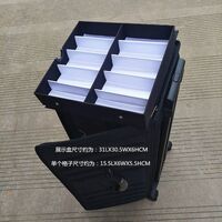 Mobile box (suitcase, trunk, organizer, display case) on wheels for frames and glasses for 100 slots JS-C190428