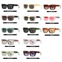 Plastic sunglasses with anti-blue light protection Elit 9249-EL-1