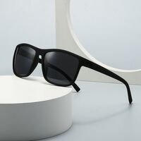 Plastic polarized sunglasses Elit 3806-EL