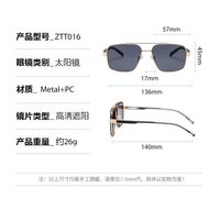 Plastic + metal retro sunglasses Elit ZTT016-EL