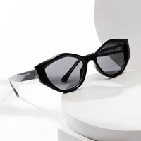 Plastic sunglasses for men Elit BZ3261-EL
