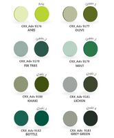 Paint powder TCN for coloring plastic CR39 lenses with an index of 1.50, set of 10 packs of 10 g each