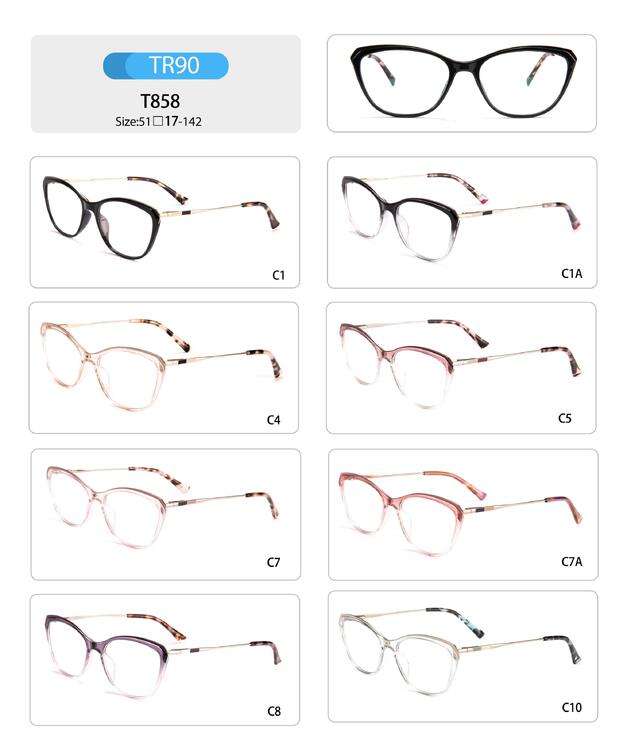 Plastic TR90 frame for women with spring hinges T858-DA