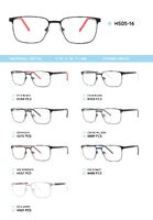 Metal frame with TR-90 temples HS05-16