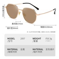 Photochromic glasses with blue light and UV protection 2897-GT