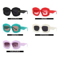Plastic polygonal sunglasses Elit 2130-EL