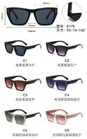 PC plastic sunglasses with metal hinge 6179W