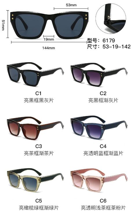 PC plastic sunglasses with metal hinge 6179W