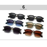 Plastic + metal retro round sunglasses for men Elit 6109-EL