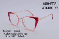 Metal +TR90 ultrathin frames with flex hinges Wilibolo TR3003