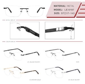 Оправа металлическая безободковая на винтах мужская с флексом LE6197-DA