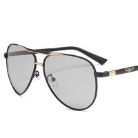 Photochromic glasses with blue light and UV protection 2870-GT