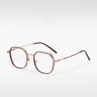 Combined frame (metal + TR90) MAMO M2387