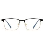 Titanium frame SANTA T9110