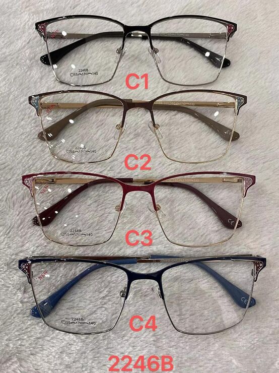Metal frame for glasses with spring hinges 2246B
