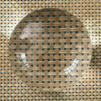 Magnifier for the visually impaired