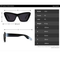Plastic cat-eye sunglasses for women Elit 1221-EL