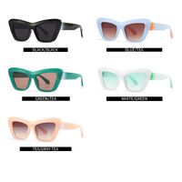 Plastic cat-eye sunglasses for women Elit 1221-EL