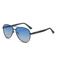 Polarized metal sunglasses with UV400 protection 2956-2-GT