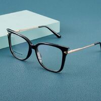 TR90 plastic frame or glasses with blue light protection, with spring hinges FA87061