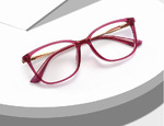 Plastic frames for glasses TR90+CA material (flex hinges) FOCUS FCS2057
