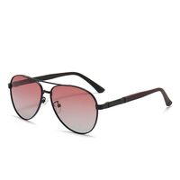 Polarized metal sunglasses with UV400 protection 2956-2-GT