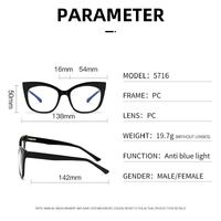 Plastic frame with anti-blue light protection lenses, with spring hinges Elit 5716-EL