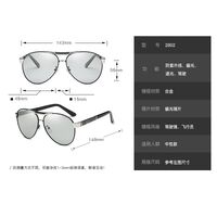 Photochromic glasses with blue light and UV protection 2699-GT