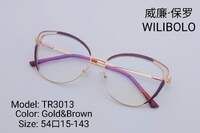 Оправа металл + TR90 ультратонкая с флексом Wilibolo TR3013