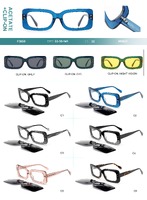 Plastic acetate frame + polarized clip-on Big City F3050S