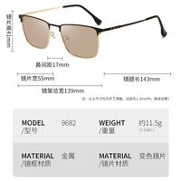 Photochromic glasses with blue light and UV protection 9682-GT